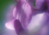  04b064b.jpg (6227 ????) 