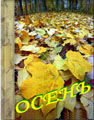  AutumnRuFront.jpg (7401 байт) 