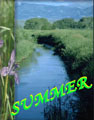  SummerFront.jpg (5516 ????) 