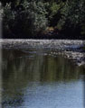  Fishing04Left.jpg (4072 ????) 