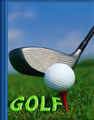  Golf01Front.jpg (4334 ????) 