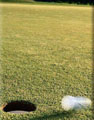  Golf01Left.jpg (4829 ????) 