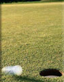  Golf01Right.jpg (4819 ????) 